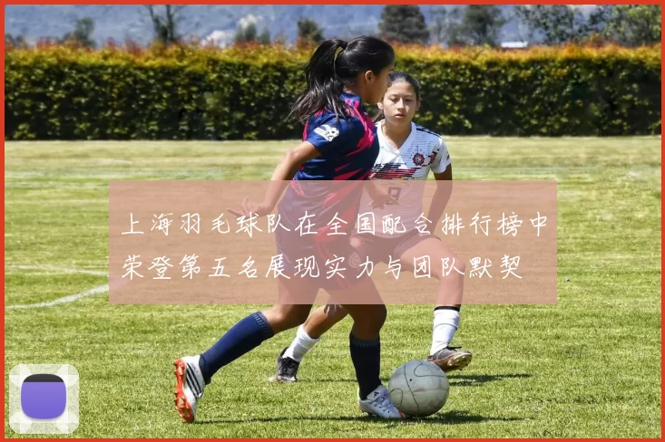 上海羽毛球队在全国配合排行榜中荣登第五名展现实力与团队默契